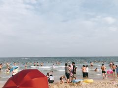 -西涌国际滨海旅游区