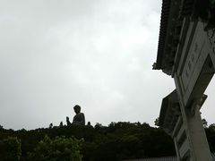 -宝莲禅寺