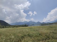 -大九湖