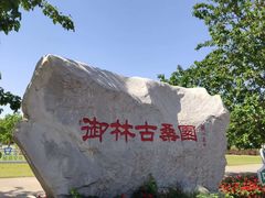 -御林古桑园