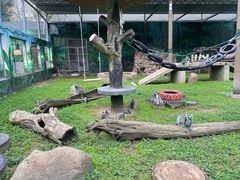 -西安秦岭野生动物园