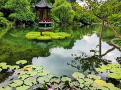 -云溪植物园