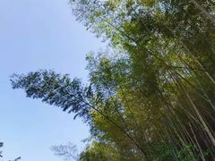 -千泷沟大瀑布旅游区