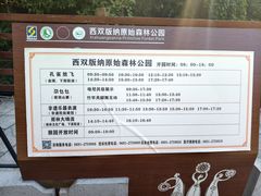 -西双版纳原始森林公园