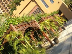 -海南椰子鸡餐厅(三亚湾红树林店)