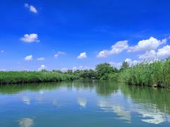 -西溪国家湿地公园