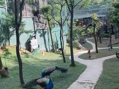 -梦幻奥陶纪景区