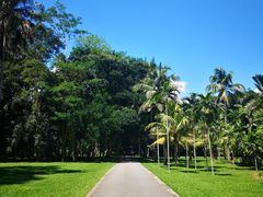 -中国科学院西双版纳热带植物园