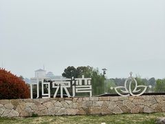 -西京湾花海
