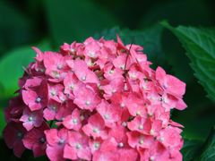 -上海吴淞炮台湾国家湿地公园