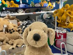 -宜家家居(四元桥商场店)