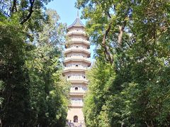 -灵谷景区