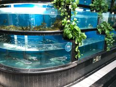 -王家渡火锅店(棕榈泉店)