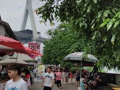 -大渡口区义渡公园
