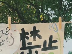 -鲨鱼菲特(金沙湖店)