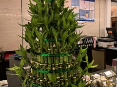 -皇朝尊会(龙之梦大酒店)