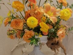-Tomacado花厨(One ITC店)