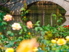 -人民公园(罗湖区)