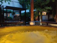 -春晖园度假酒店温泉