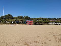 -碧海金沙