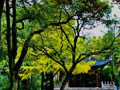 -汇龙潭