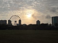 -万绿园