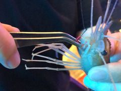 -钳真多钓虾馆·小龙虾海鲜烧烤(九六广场店)