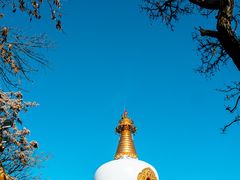 -护国法轮寺