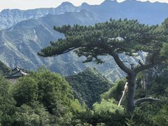 -圣莲山风景区