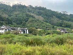 -福建土楼（华安）旅游区•大地土楼群
