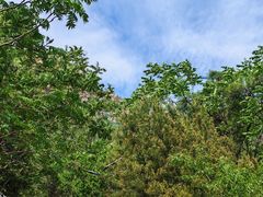 -抱犊寨风景区
