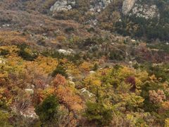 -崂山巨峰游览区