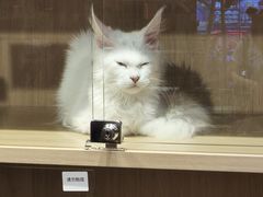 -天河领展广场