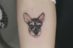-众刺纹画·纹身·穿孔饰品·海娜定制