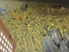 -邈墨茶馆(凤起路店)