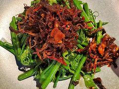 昭通椒丝油鸡枞麦瓜尖-泓0871臻选云南菜·味庄
