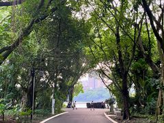-南宁南湖公园