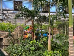 -南宫五洲植物乐园