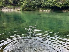 -石台牯牛降景区
