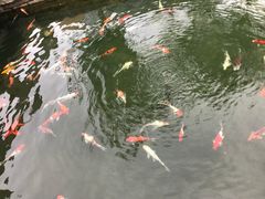 -顺景温泉