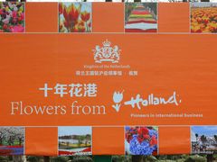 -上海鲜花港