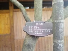 -海南槟榔谷黎苗文化旅游区