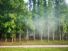 -南京金牛湖风景区