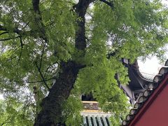 -白帝城·瞿塘峡景区