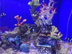 -绿色星球动物主题公园