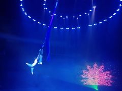 -兴芮温泉度假区