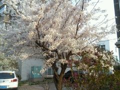 -比尔斯健康烤肉自助餐厅