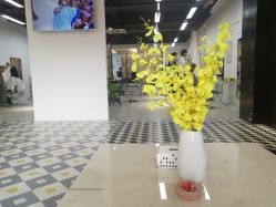 -ASA HAIR SALON