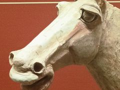 -宁夏博物馆