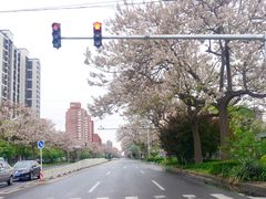 -平乐园(地铁站)